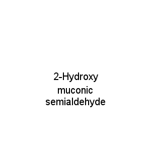 2-Hydroxy muconic semialdehyde